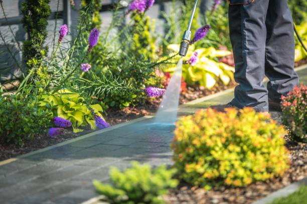 Dassel, MN Pressure Washing Services Company
