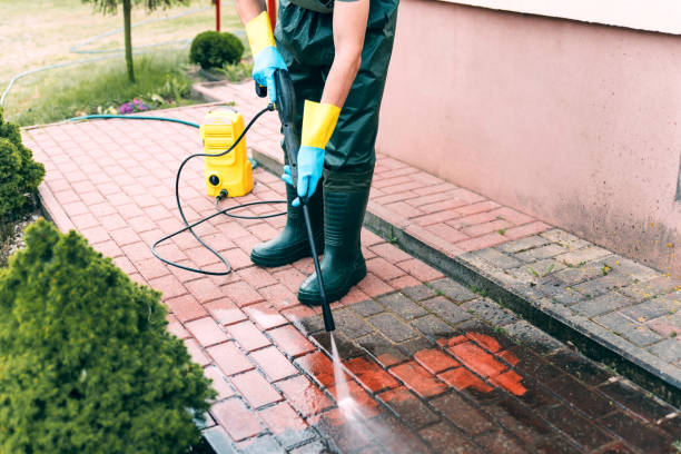Best Solar Panel Cleaning  in Dassel, MN
